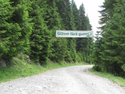 Glavoi - Padis 30 iunie 2012
