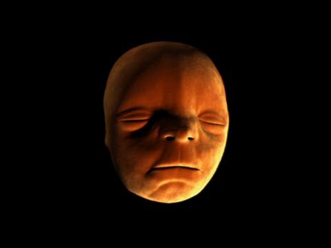 Clip spectaculos: cum se dezvoltă faţa umană în uter!